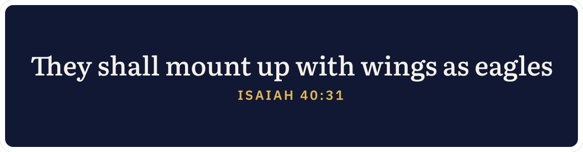 Bumper sticker: They shall mount up with wings as eagles. Isaiah 40:31